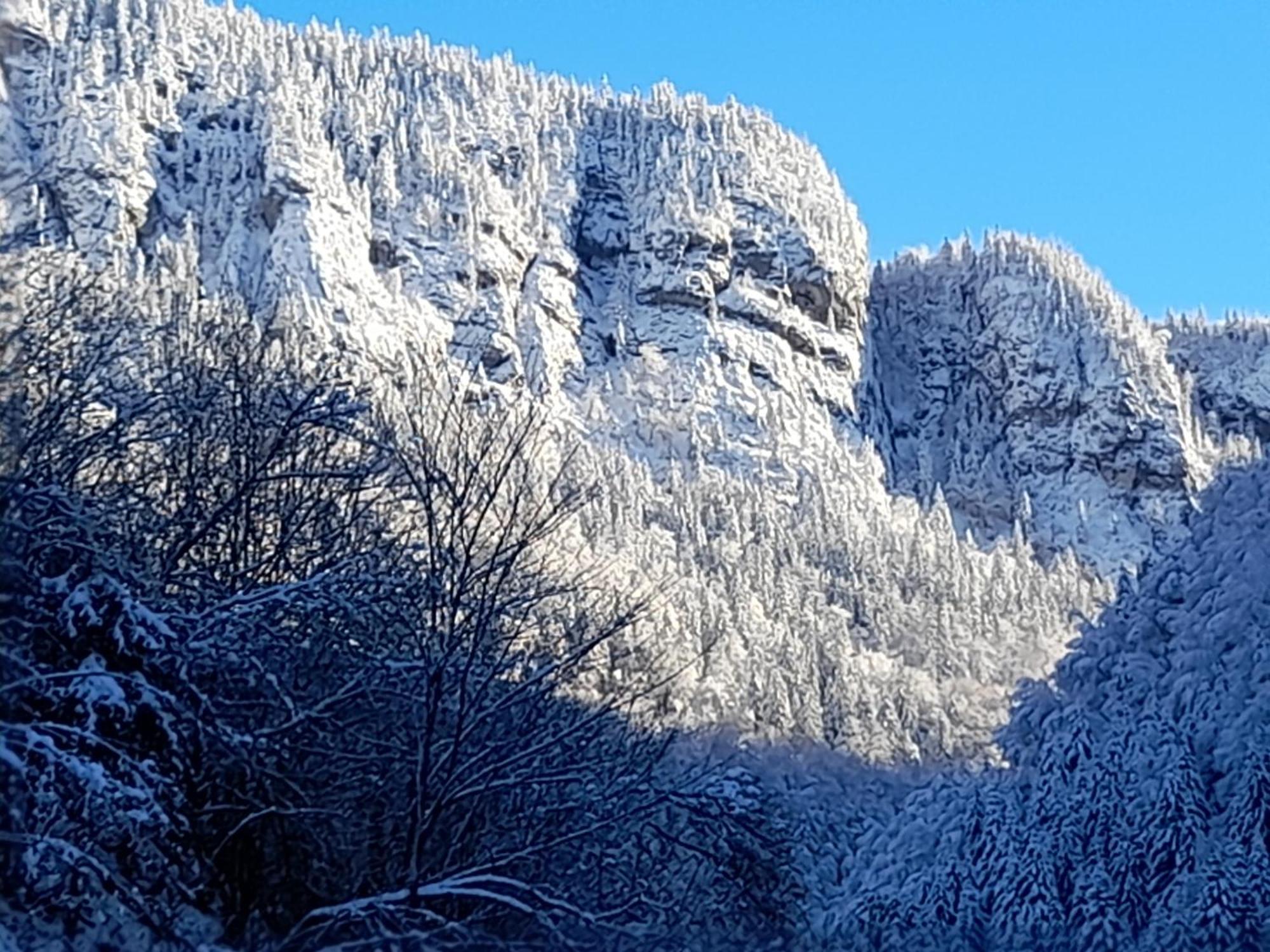 Appartamento Le Bouquetin Entremont Esterno foto